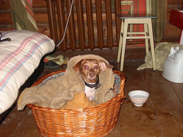 Мотя