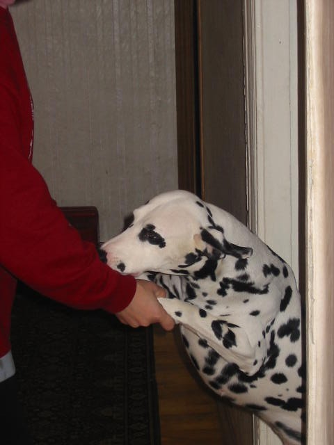 Хакер